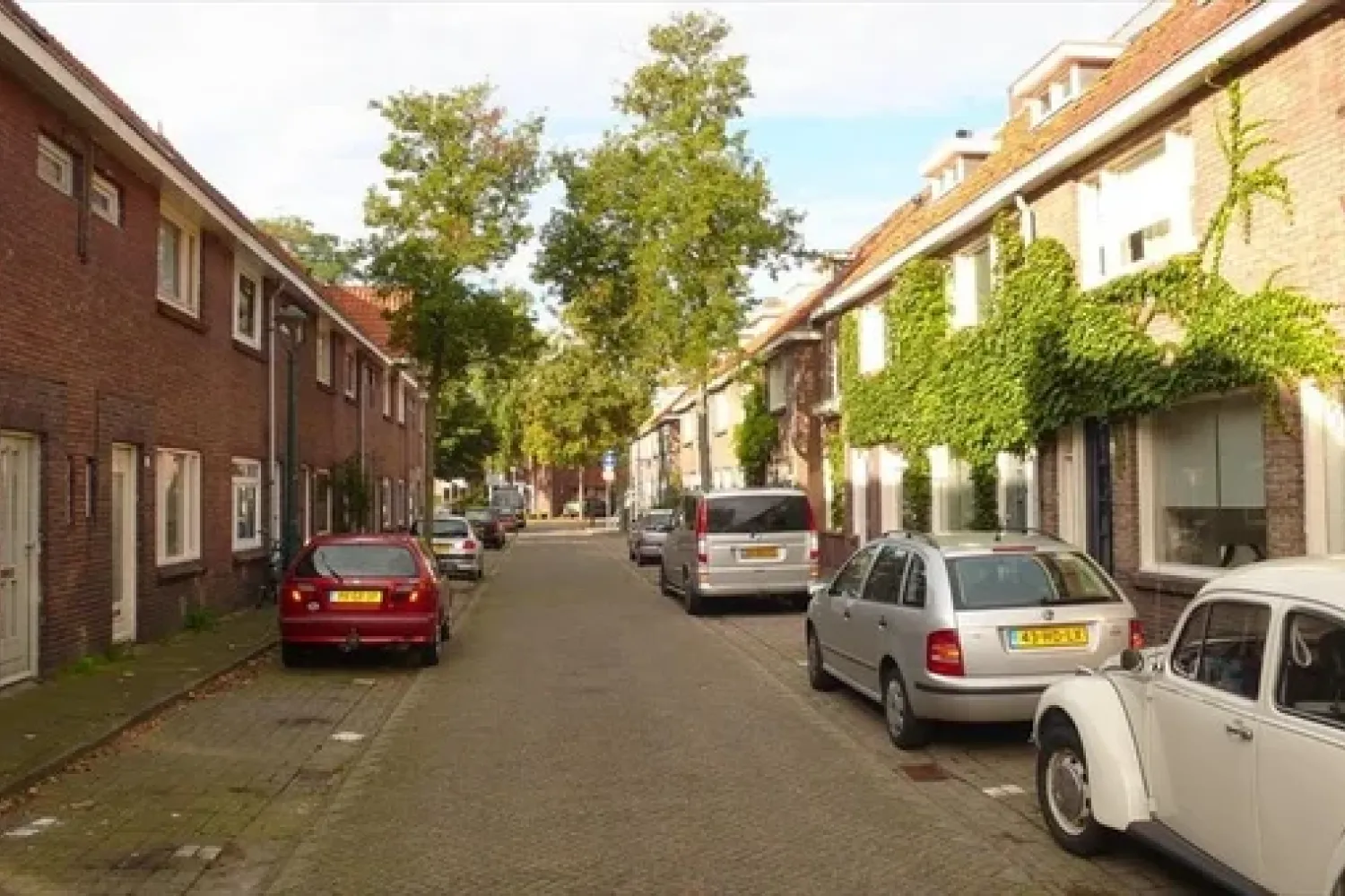 Ranonkelstraat
